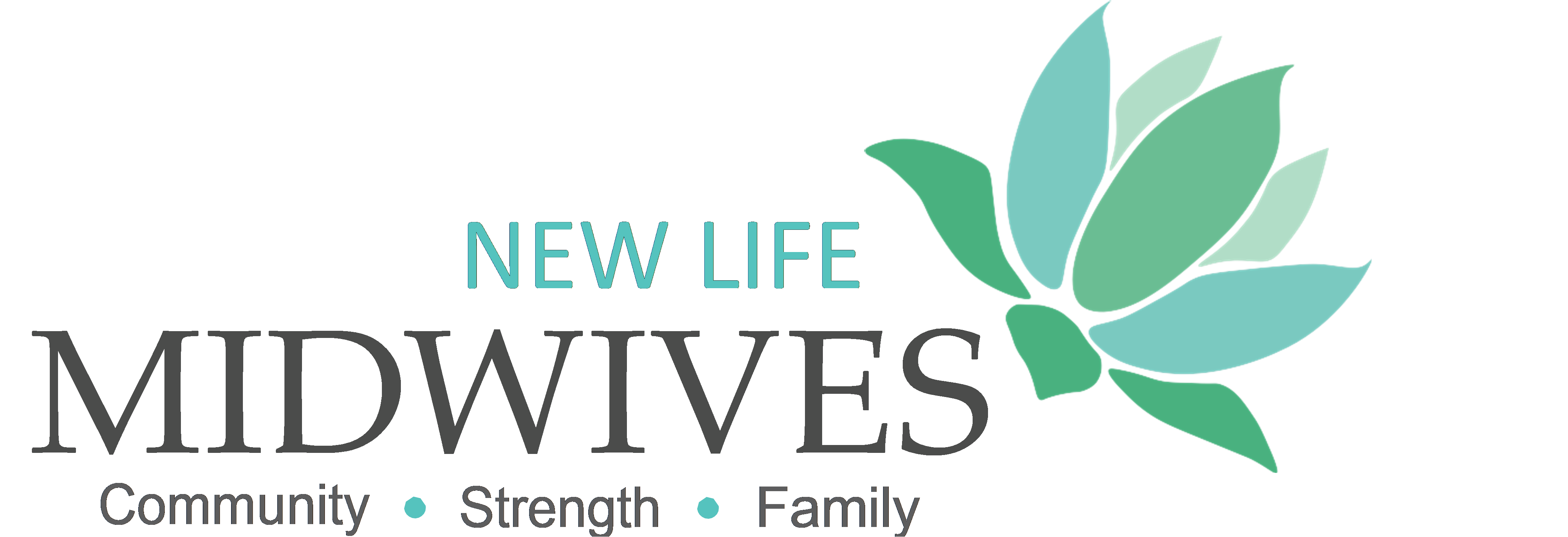 Secure File Transfer New Life Midwives